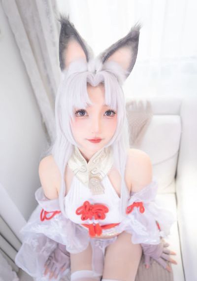 三邦车视频